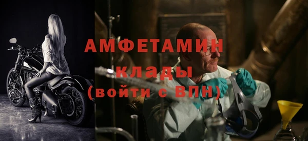 трава Белокуриха