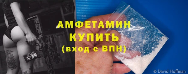 трава Белокуриха