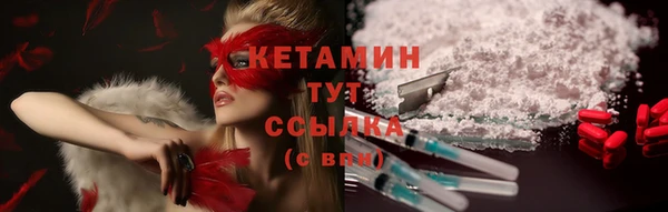 трава Белокуриха