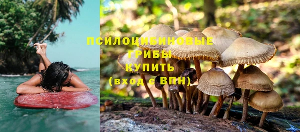 а пвп мука Беломорск