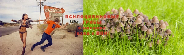 а пвп мука Беломорск
